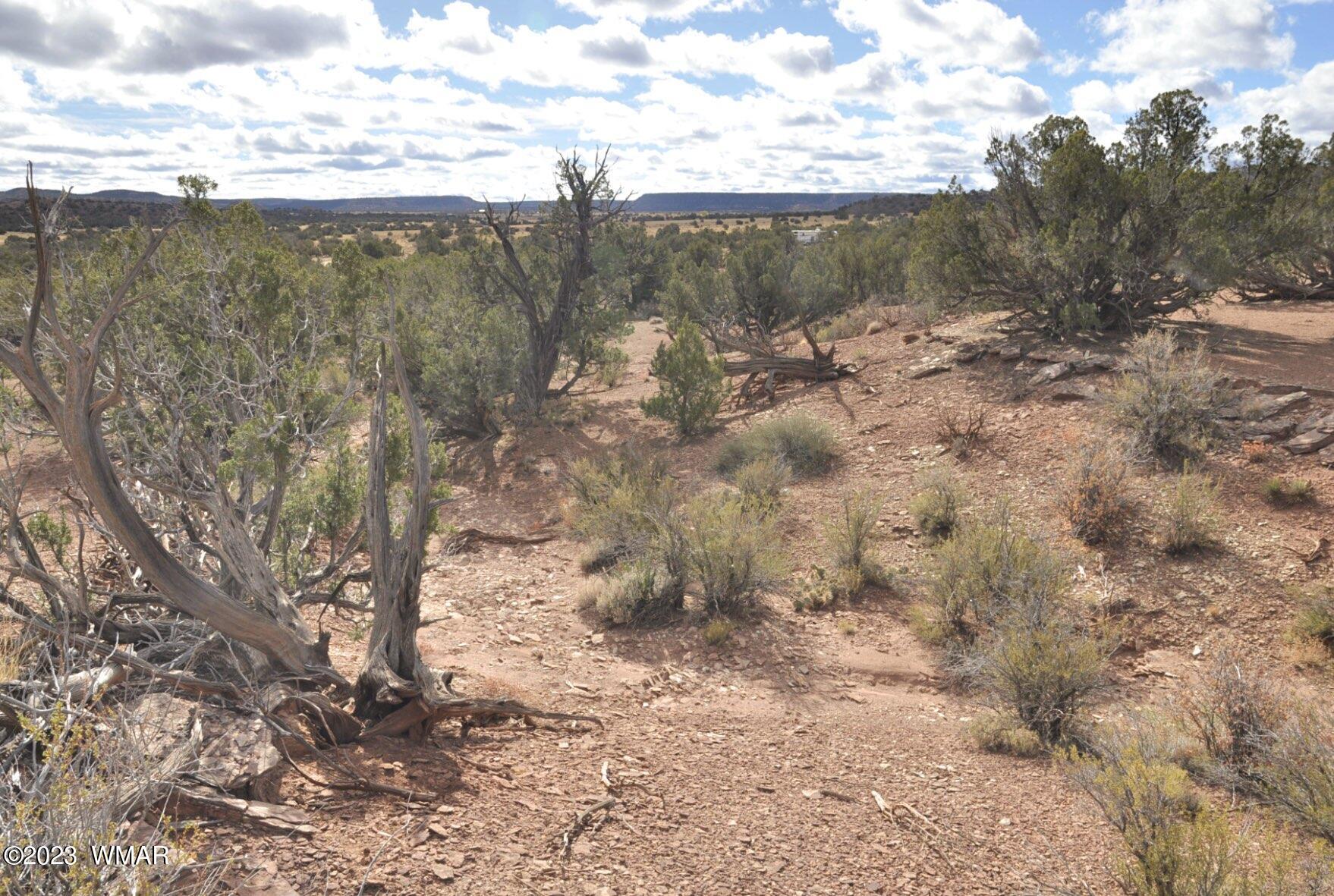 3848 Aztec Snowflake, AZ 85937 - Photo 18 of 28