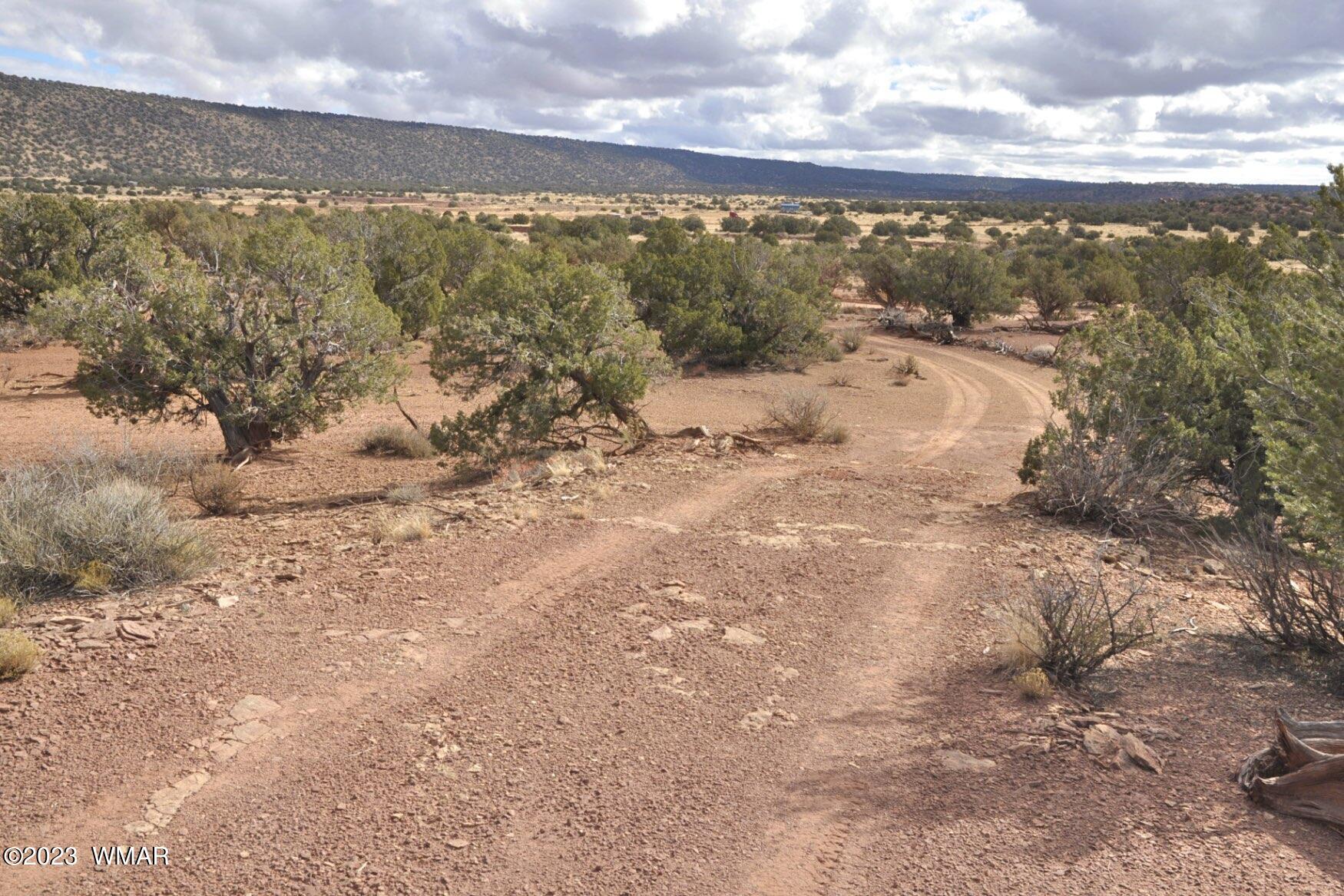 3848 Aztec Snowflake, AZ 85937 - Photo 23 of 28