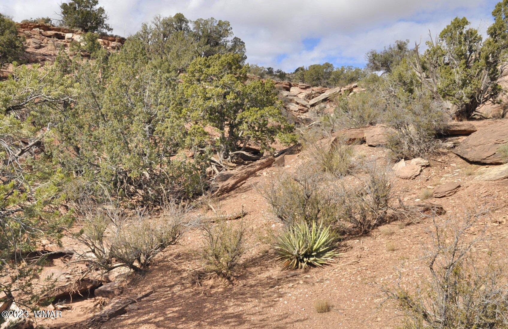 3848 Aztec Snowflake, AZ 85937 - Photo 28 of 28