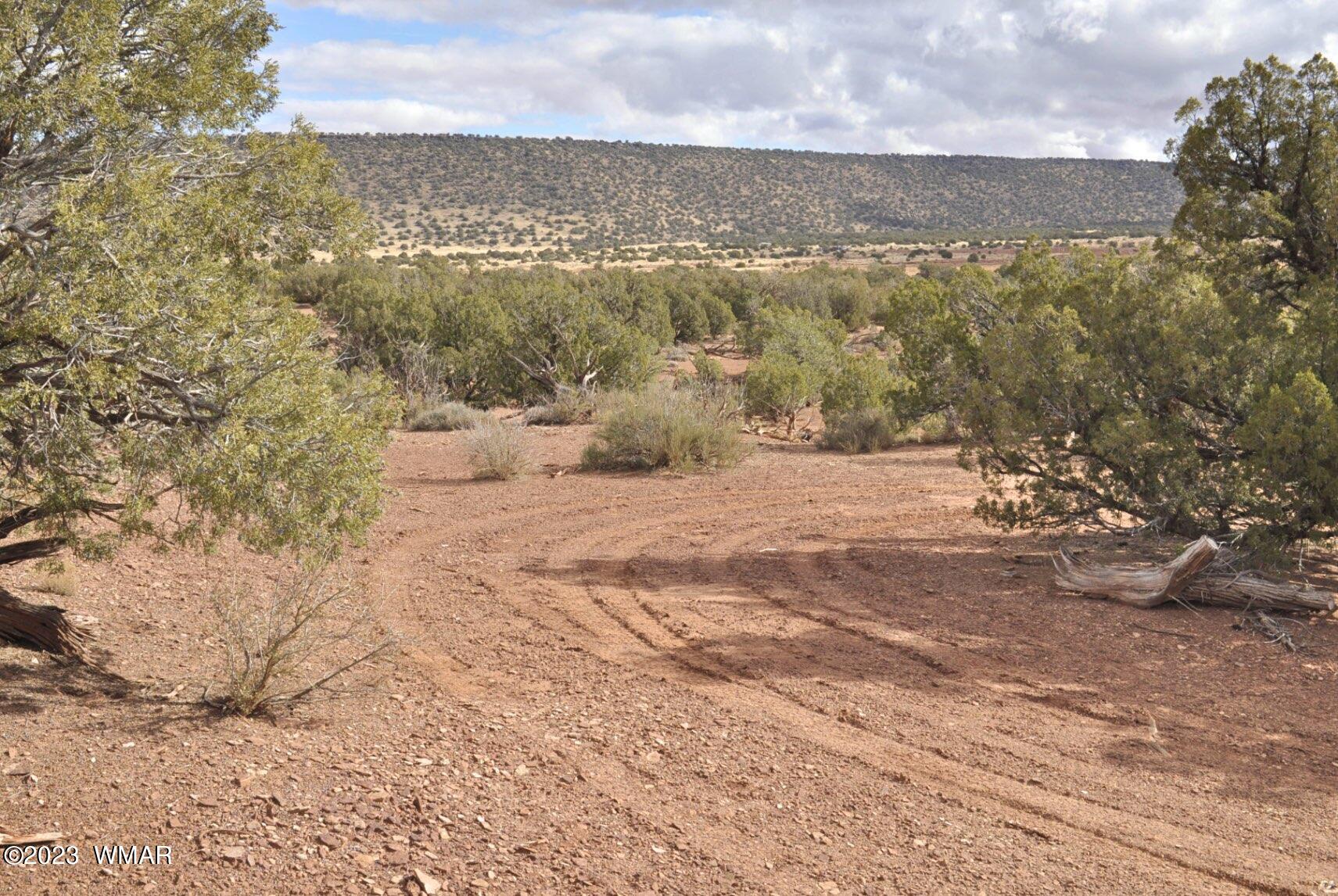 3848 Aztec Snowflake, AZ 85937 - Photo 3 of 28