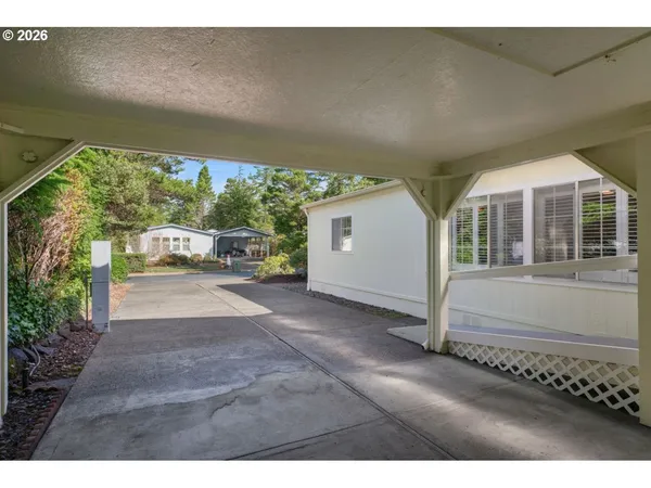 a view of a street with a large trees