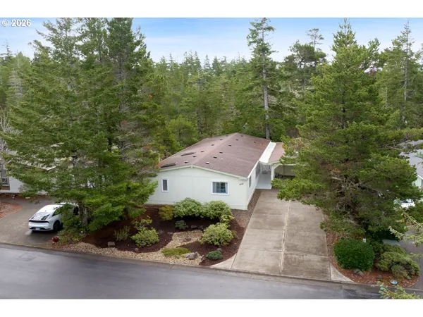 a view of a yard with plants