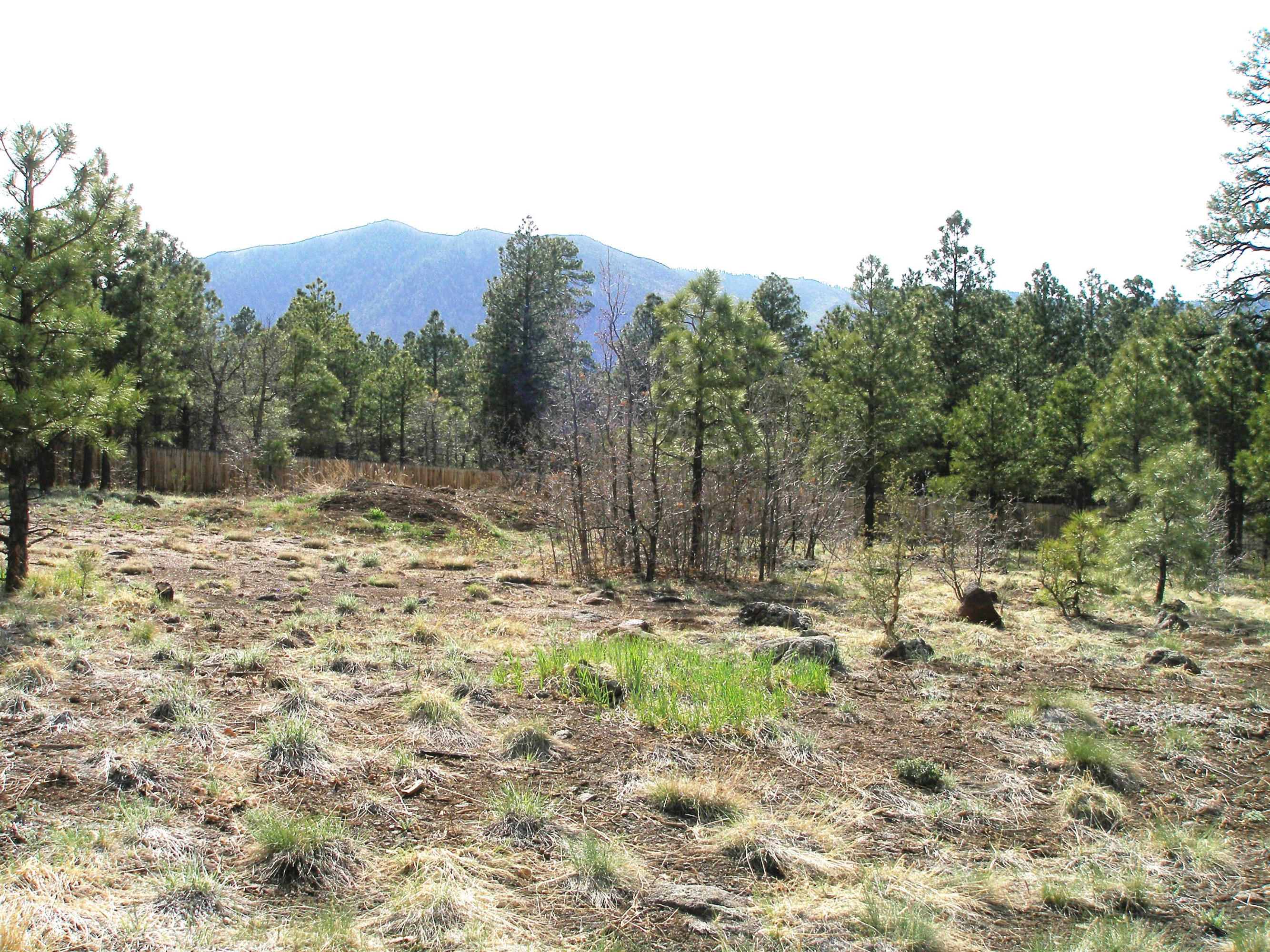 7360 Lindsey Road Flagstaff, AZ 86004 - Photo 3 of 5 P5040090