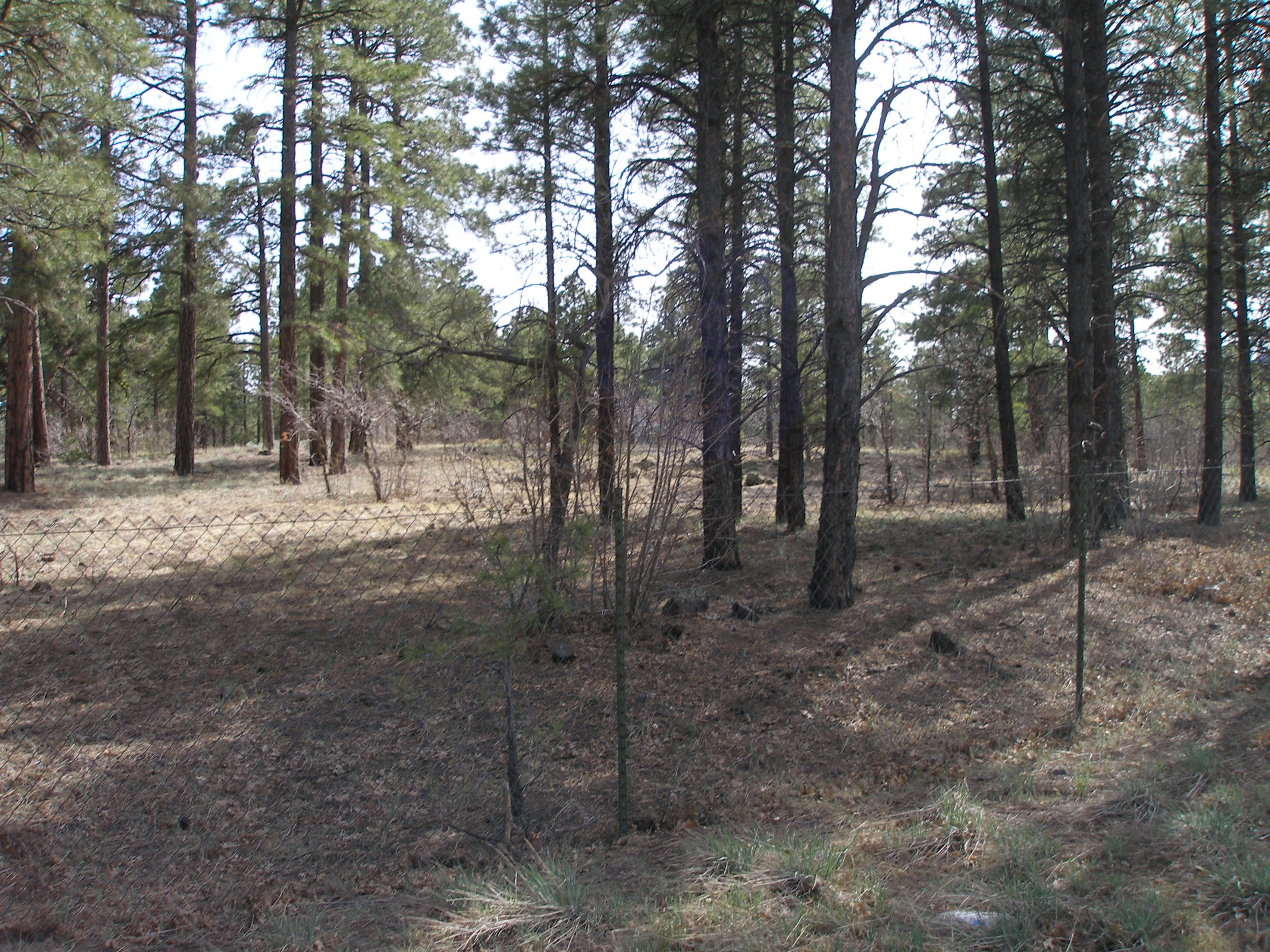 7360 Lindsey Road Flagstaff, AZ 86004 - Photo 4 of 5 P5040082