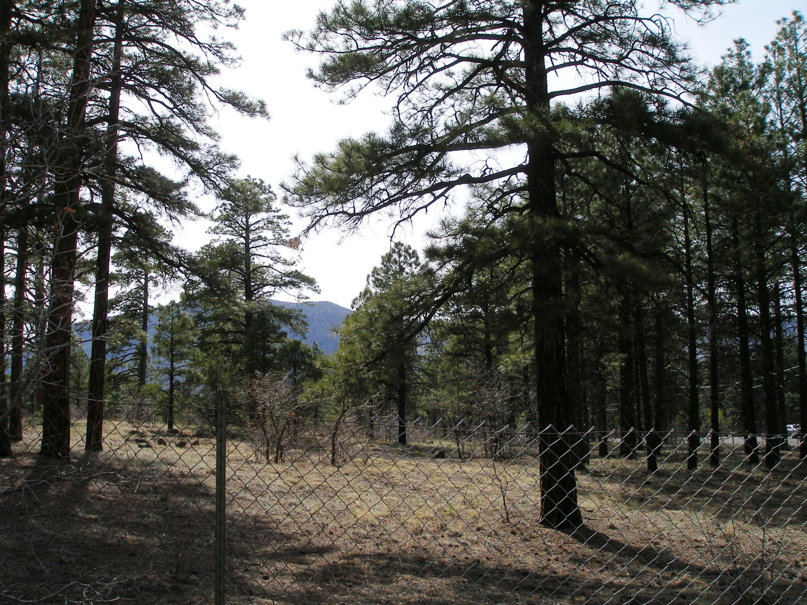 7360 Lindsey Road Flagstaff, AZ 86004 - Photo 5 of 5 P5040083