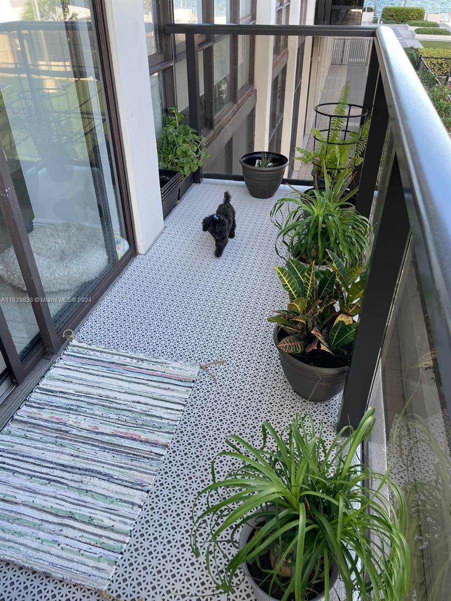 600 Northeast 36th Street, Unit 204 Miami, FL 33137 - Photo 31 of 31 a vase of flowers sitting on a floor