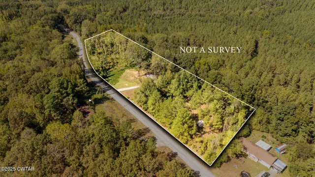 a view of mountain with large trees