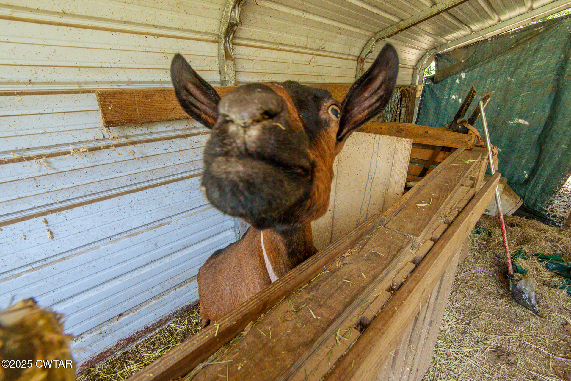 2020 Parkburg Road Medon, TN 38356 - Photo 17 of 24 a view of entryway