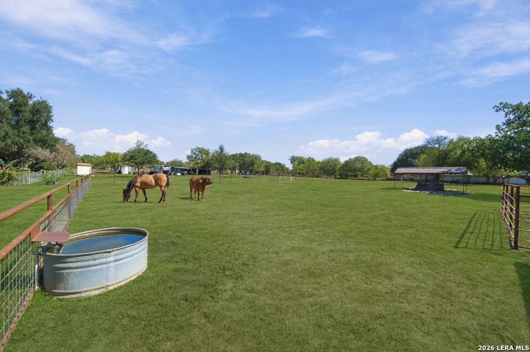 3690 Rakowitz Road Adkins, TX 78101 - Photo 12 of 36 Gallery Image 12