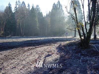 3 Scantigrease Place Castle Rock, WA 98611 - Photo 1 of 1 Gallery Image 1