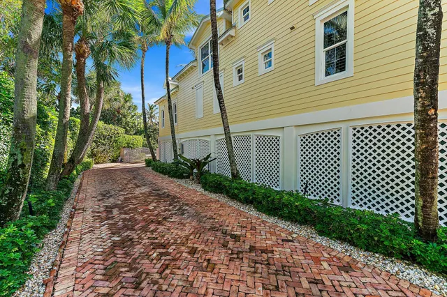 a view of a backyard with plants