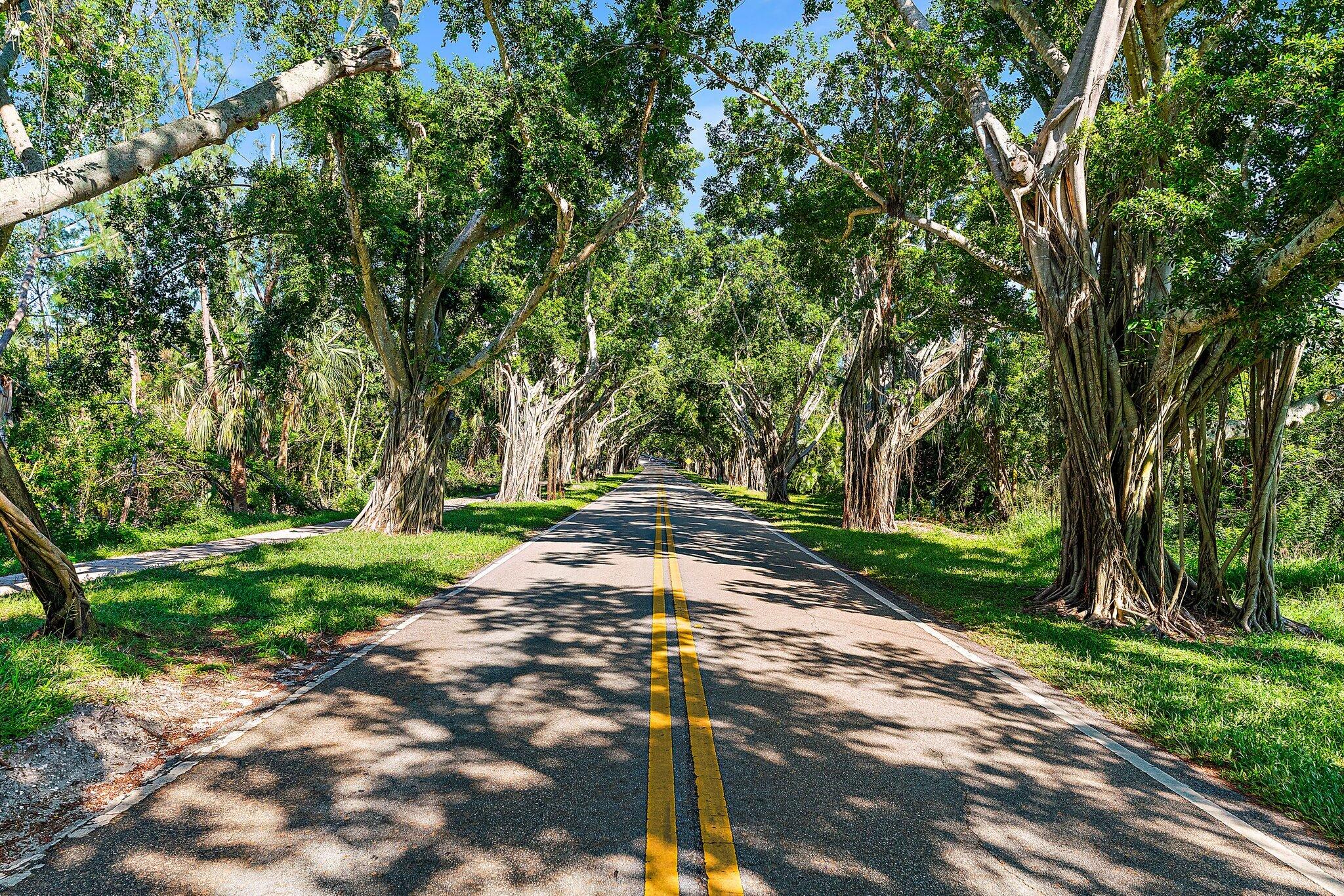 134 North Beach Road Hobe Sound, FL 33455 - Photo 52 of 54 a view of a street with a trees