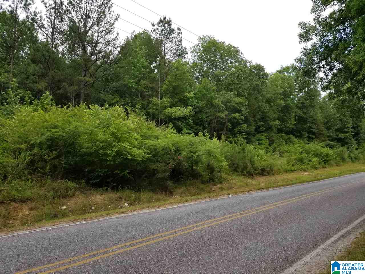 0 Rocky Hollow Road, Unit 12 Jacksonville, AL 36265 - Photo 7 of 15
