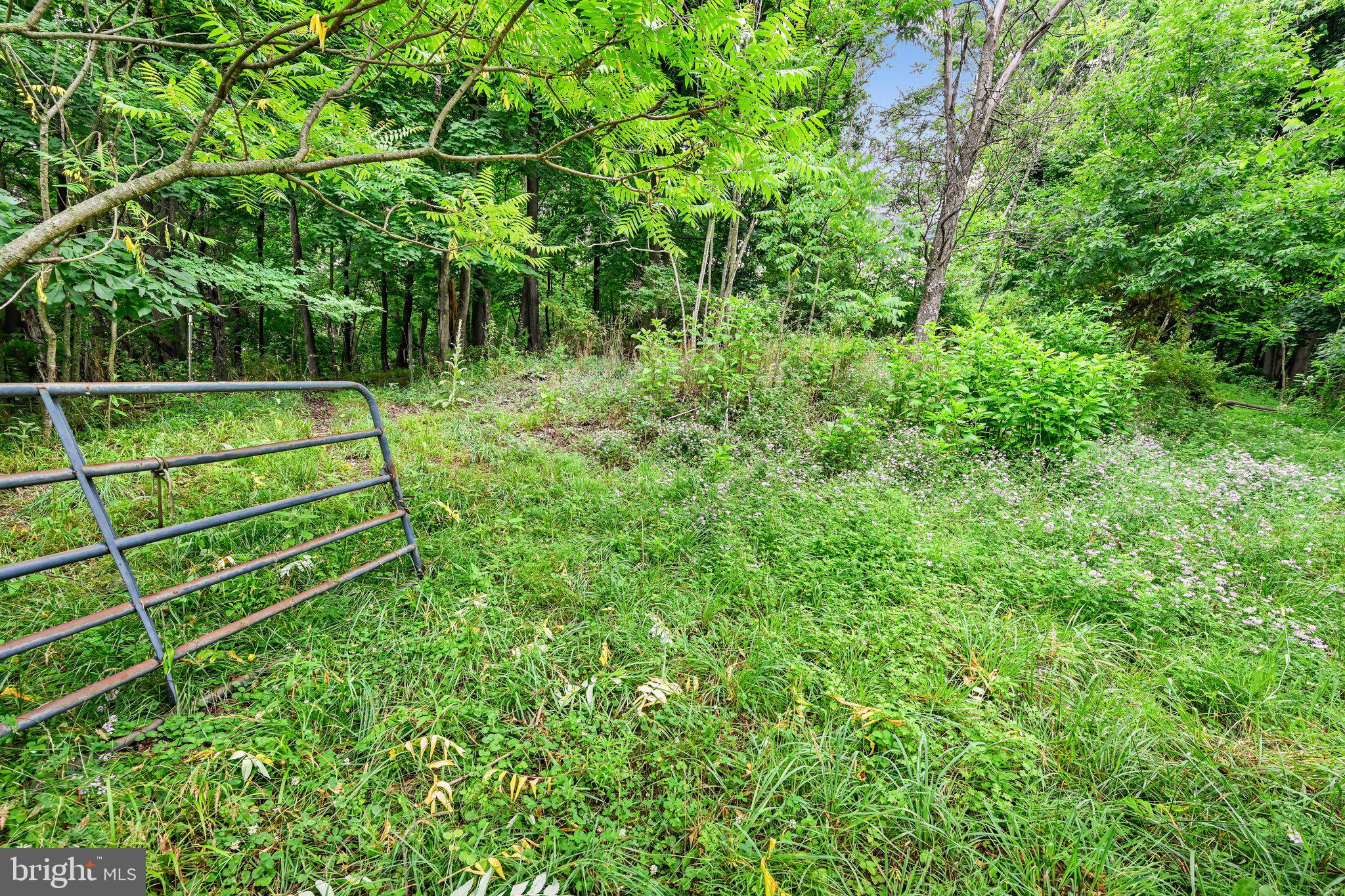 15 Rock Road Pine Grove, PA 17963 - Photo 42 of 57 Backyard