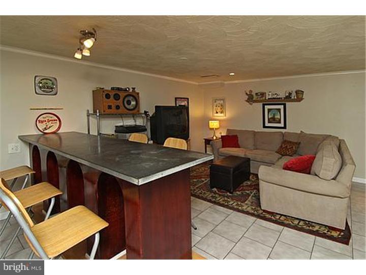 605 Paddock Road Havertown, PA 19083 - Photo 10 of 18 Basement - Finished
