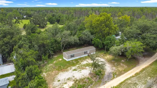 a view of a forest with a street