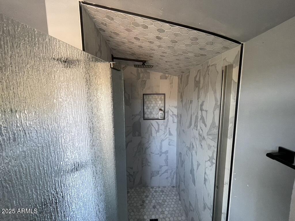 1076 East Horseshoe Springs Road Winkelman, AZ 85192 - Photo 29 of 31 a bathroom with a shower