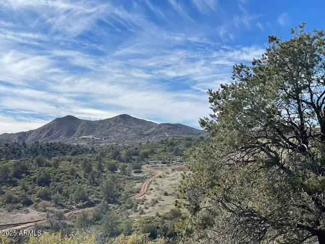 a view of a dry yard with mountains in the background