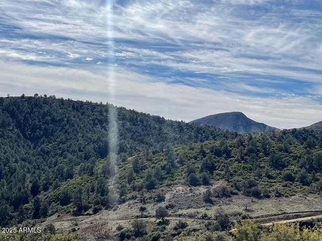 a view of a house with a mountain in the background