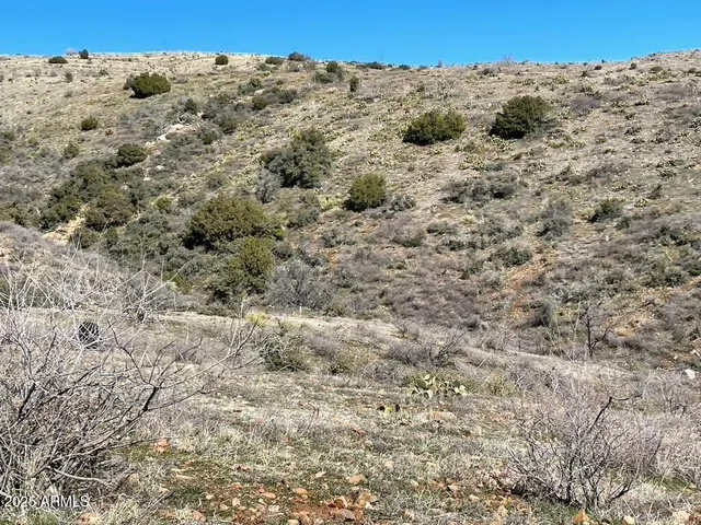 a view of a dry field with trees in the background