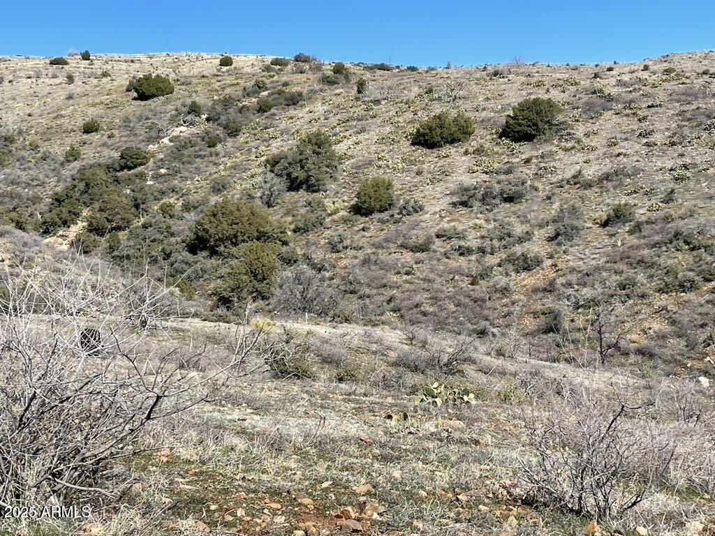 1076 East Horseshoe Springs Road Winkelman, AZ 85192 - Photo 7 of 31 a view of a dry field with trees in the background