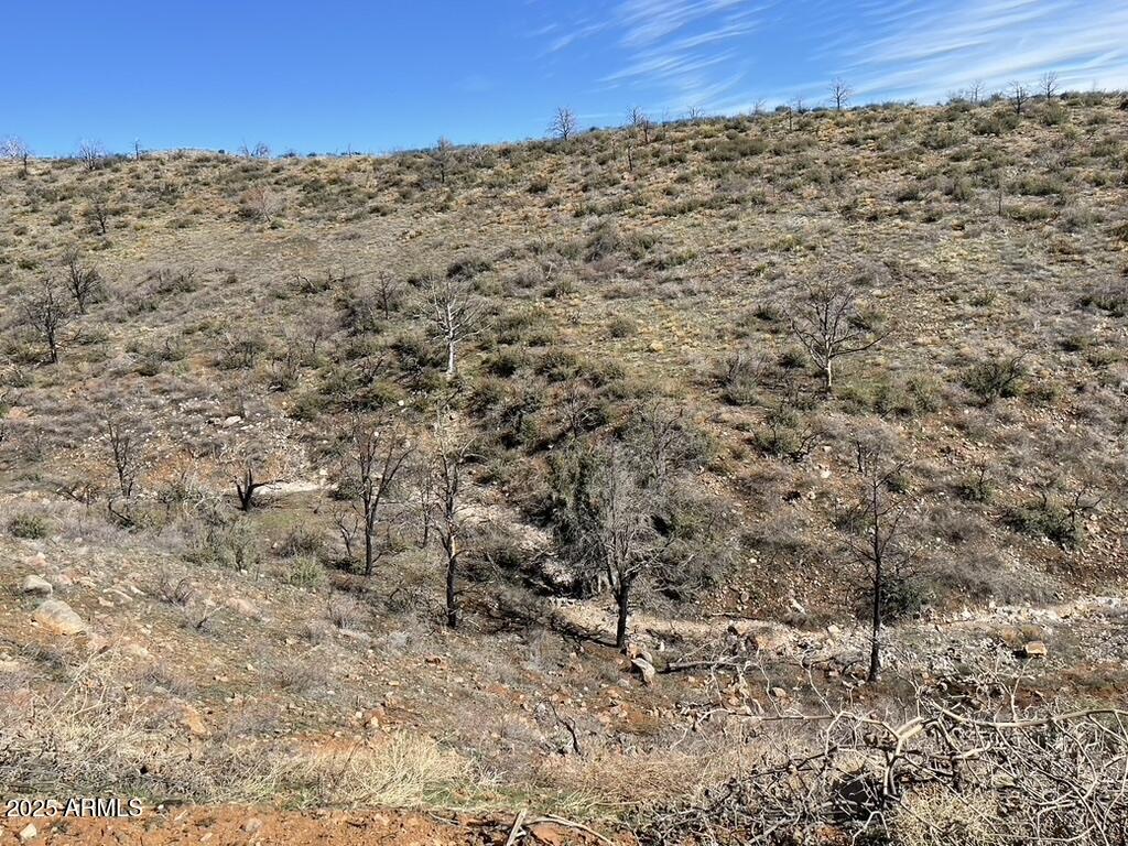 1076 East Horseshoe Springs Road Winkelman, AZ 85192 - Photo 8 of 31 a view of a mountain view
