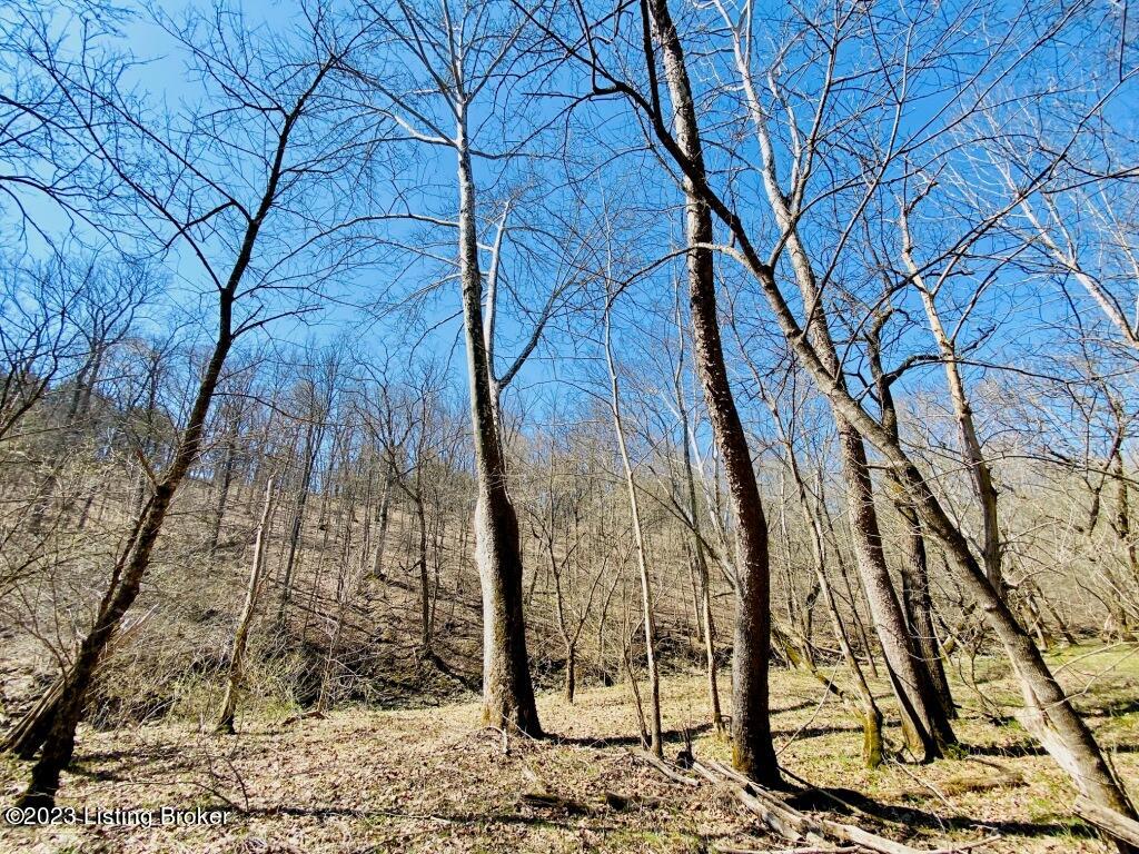 2723 Tatum Ridge Road Willisburg, KY 40078 - Photo 28 of 42 028_79791074