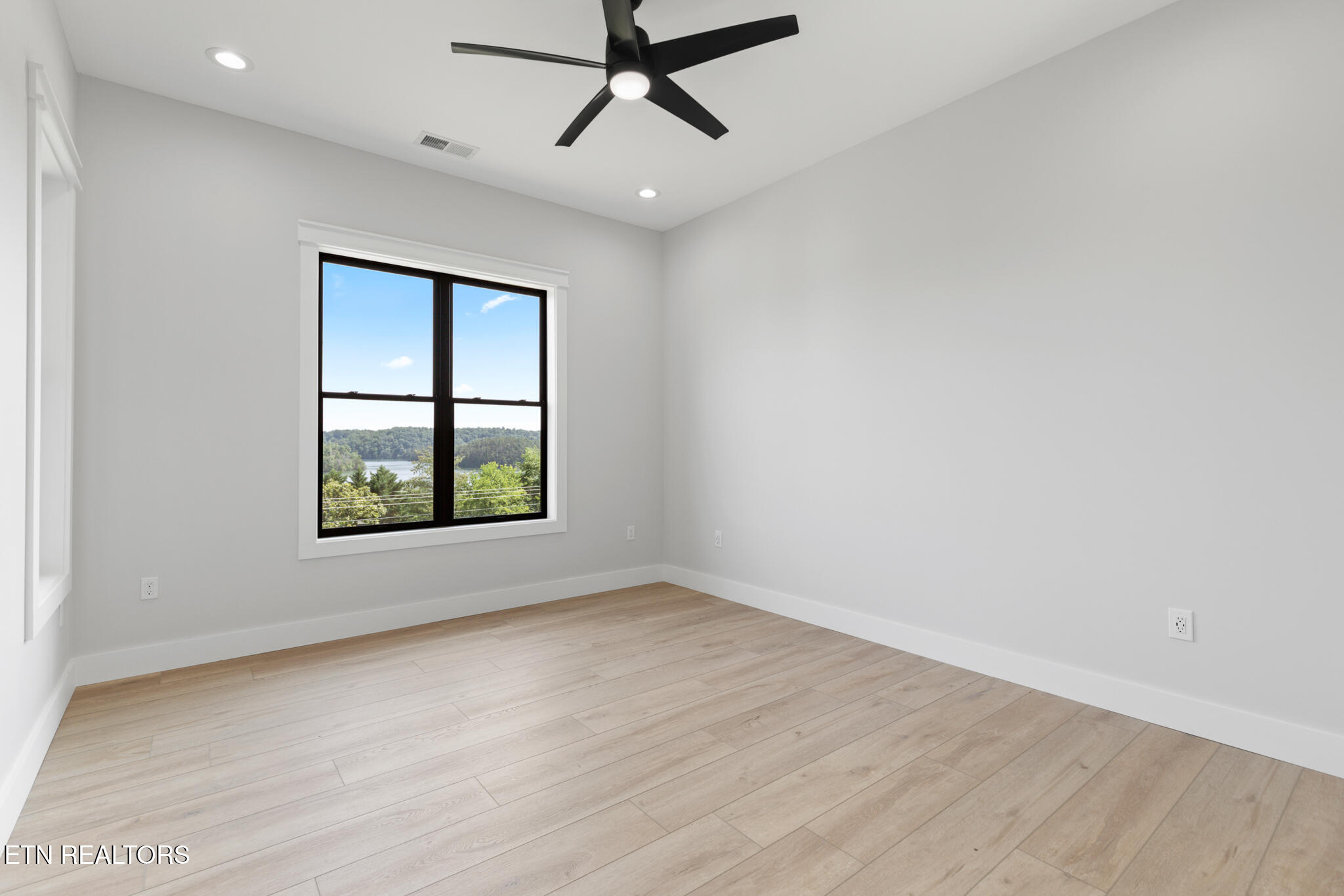 206 Eagle View Drive Dandridge, TN 37725 - Photo 19 of 60 206 Eagle View Drive - Dandridge-34