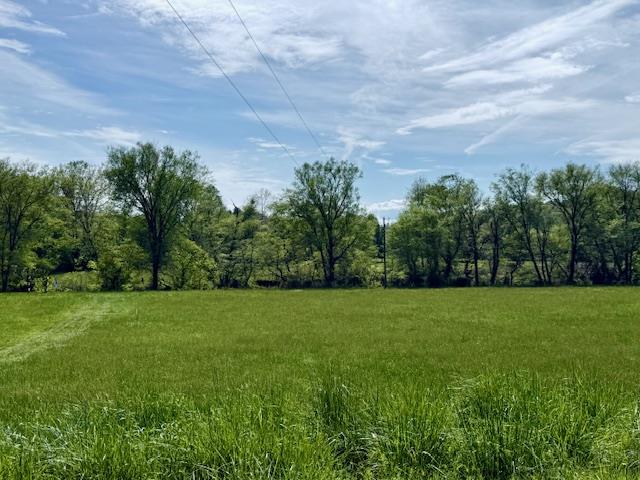 59 Rainy Farm Road Murphy, NC 28906 - Photo 7 of 14 a view of grassy field with trees in the background