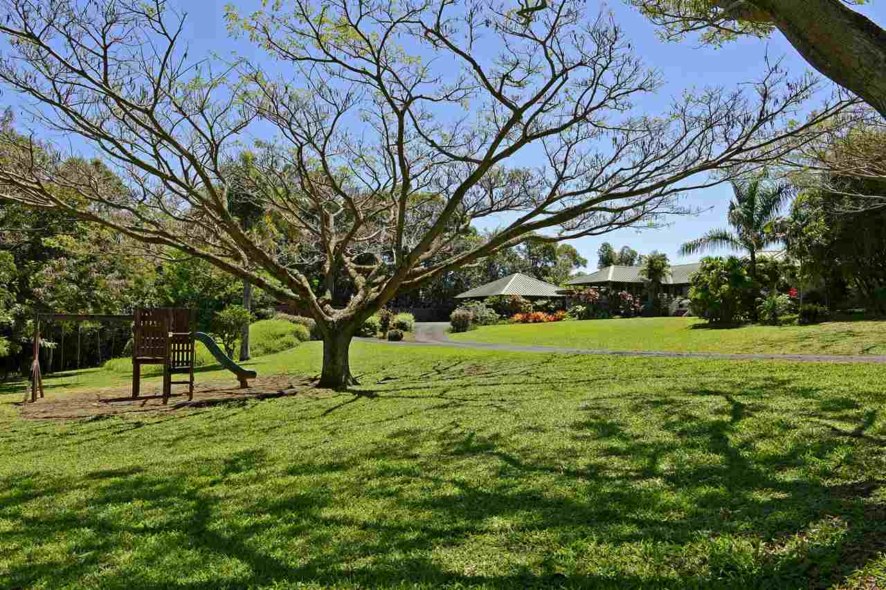 913 Hog Back Road Haiku, HI 96708 - Photo 16 of 18 a view of yard with tree