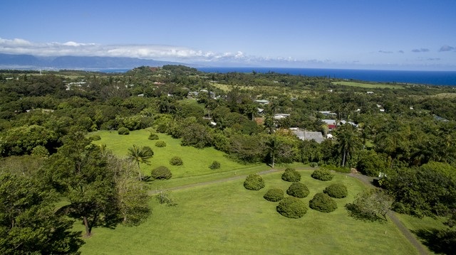 913 Hog Back Road Haiku, HI 96708 - Photo 8 of 18 a view of a big yard