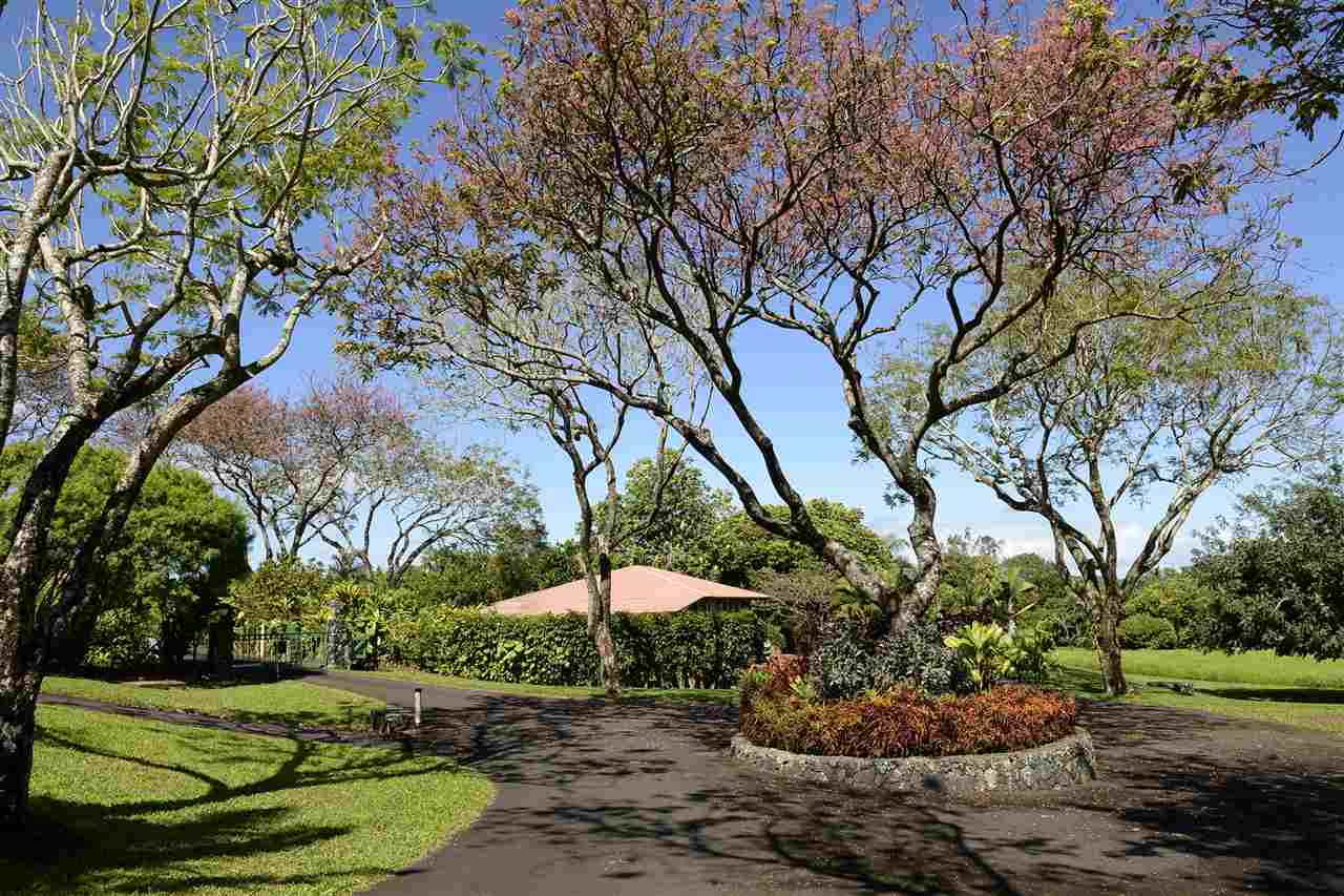 913 Hog Back Road Haiku, HI 96708 - Photo 9 of 18 a view of a backyard with plants and tree