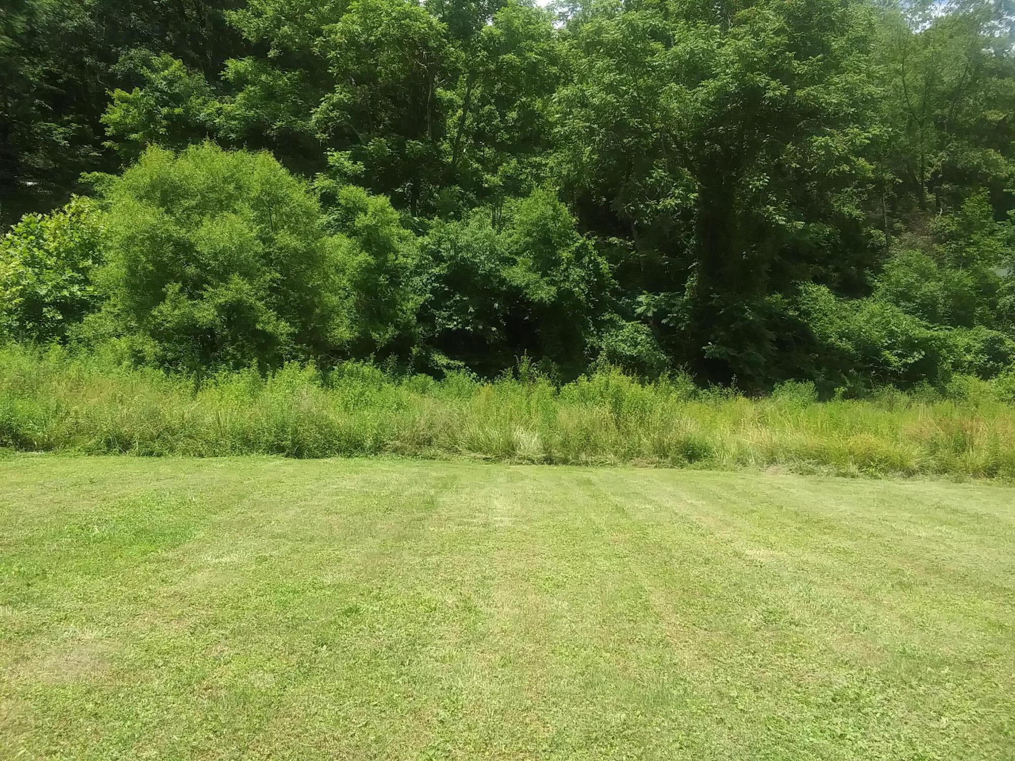 Tbd Doe Creek Road, Unit 12 Butler, TN 37640 - Photo 3 of 8 20210717_141023