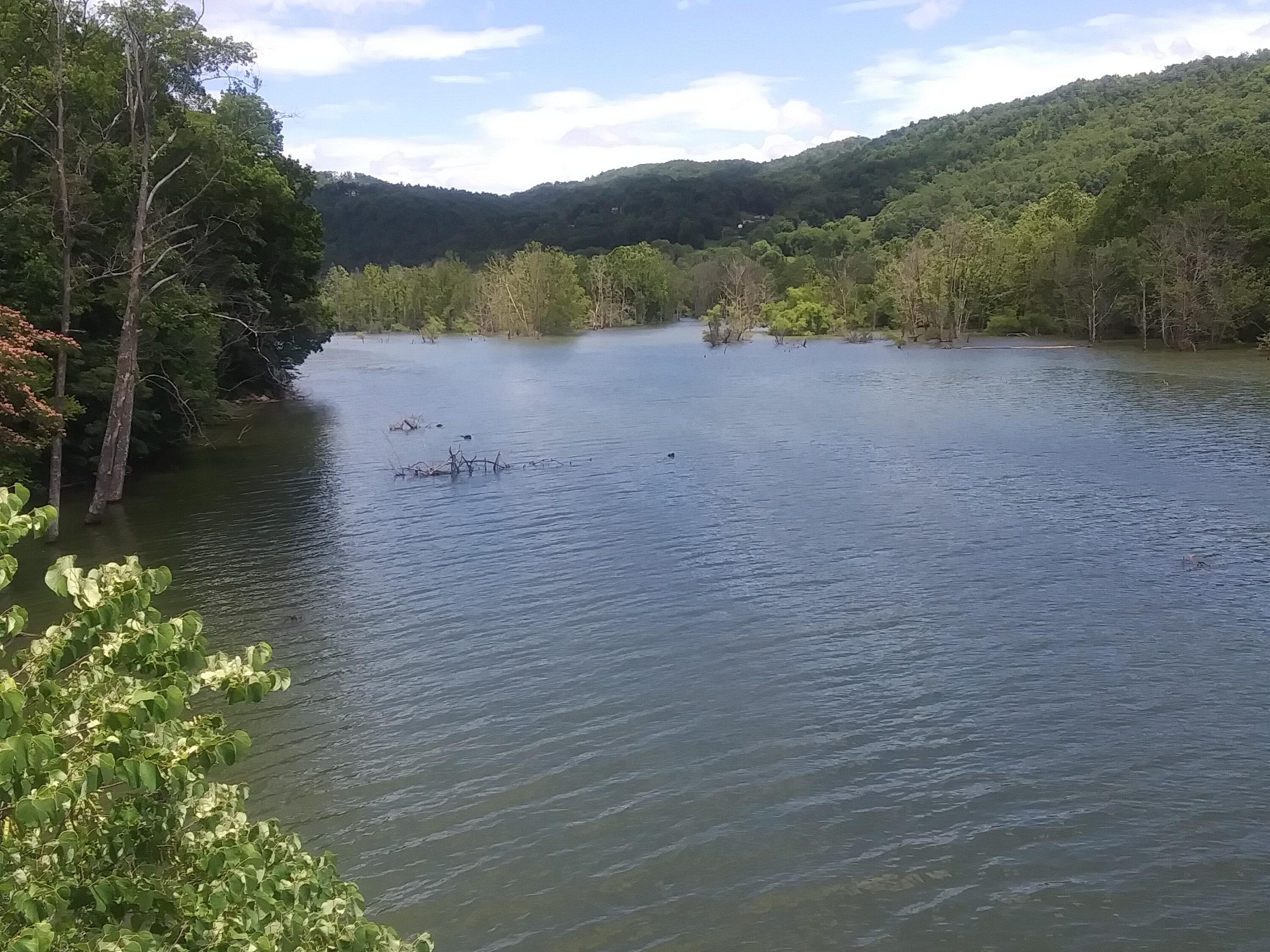 Tbd Doe Creek Road, Unit 12 Butler, TN 37640 - Photo 8 of 8 20210717_141857