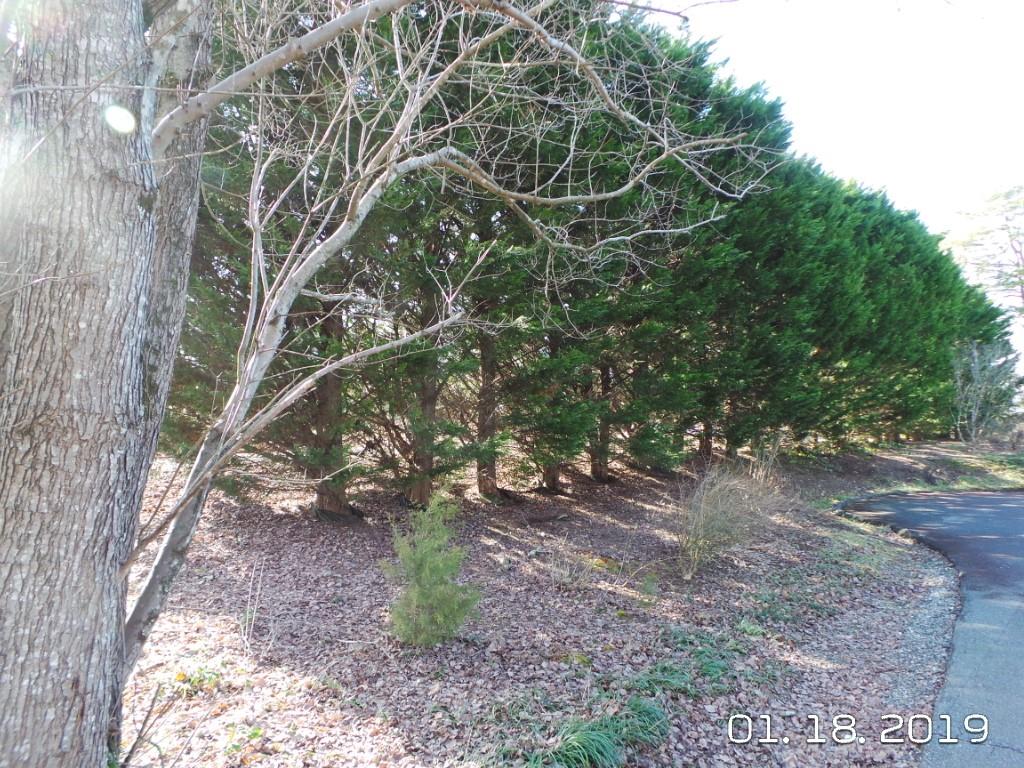7287 Rhodhiss Road Connelly Springs, NC 28612 - Photo 28 of 36 Gallery Image 28