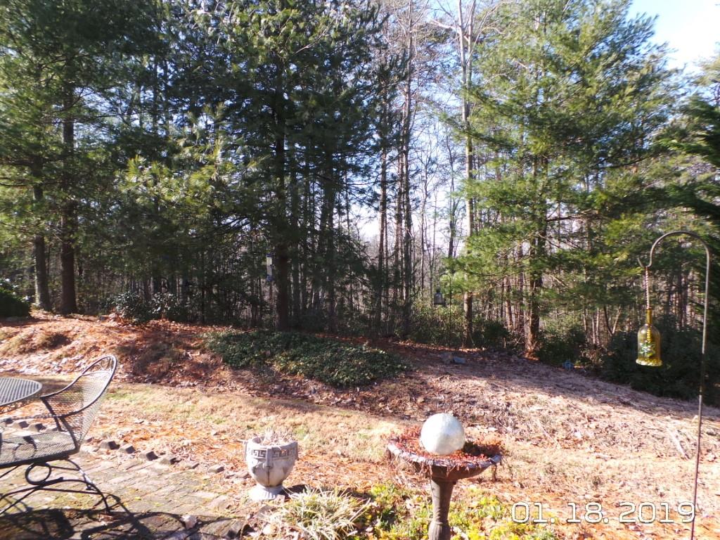 7287 Rhodhiss Road Connelly Springs, NC 28612 - Photo 33 of 36 Gallery Image 33