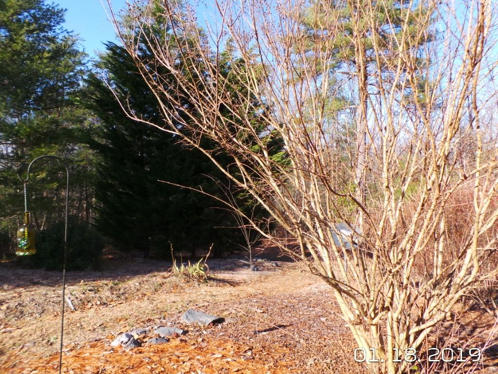 7287 Rhodhiss Road Connelly Springs, NC 28612 - Photo 34 of 36 Gallery Image 34