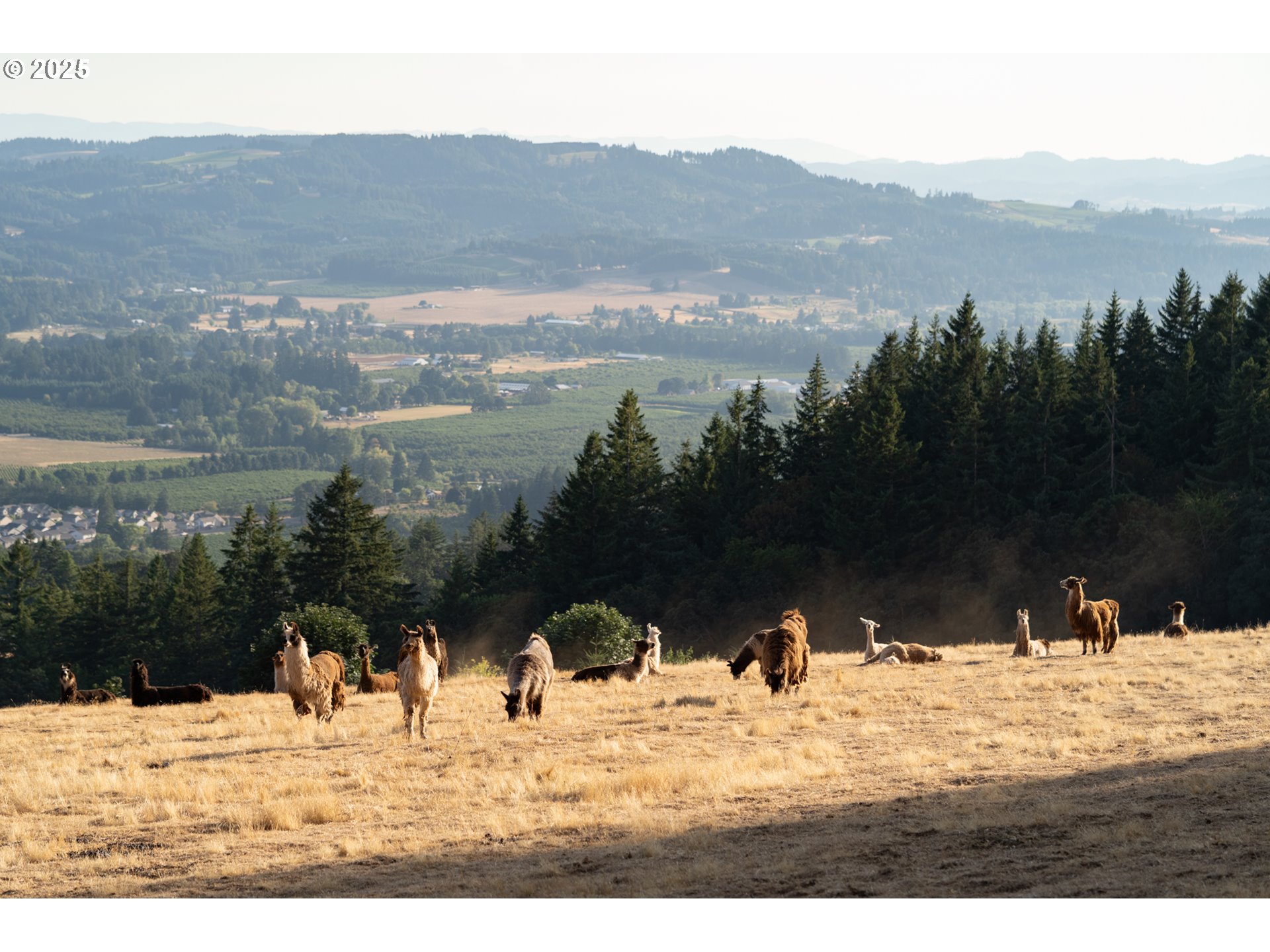 27200 Northeast Mountain Top Road Newberg, OR 97132 - Photo 45 of 48