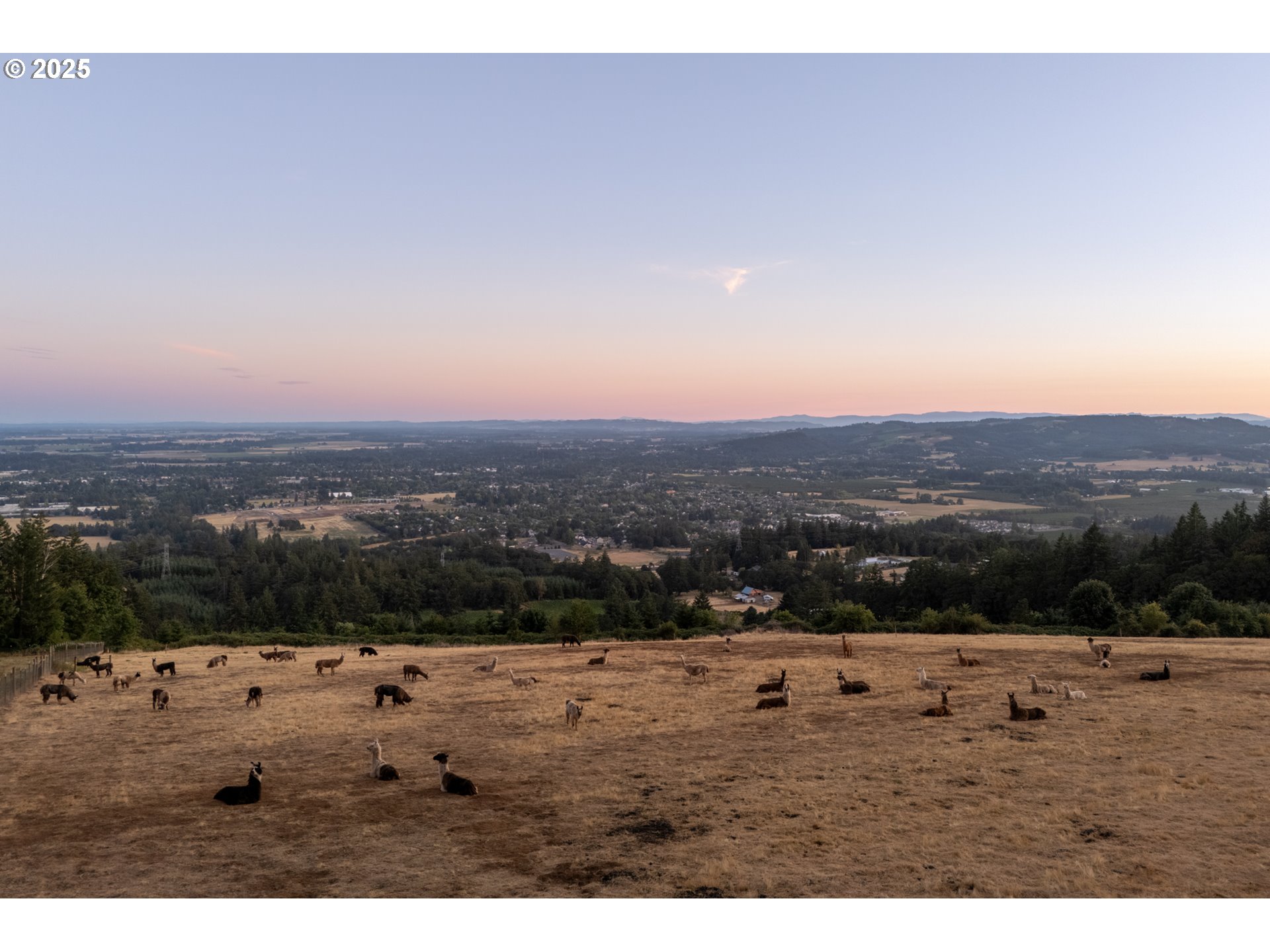 27200 Northeast Mountain Top Road Newberg, OR 97132 - Photo 46 of 48