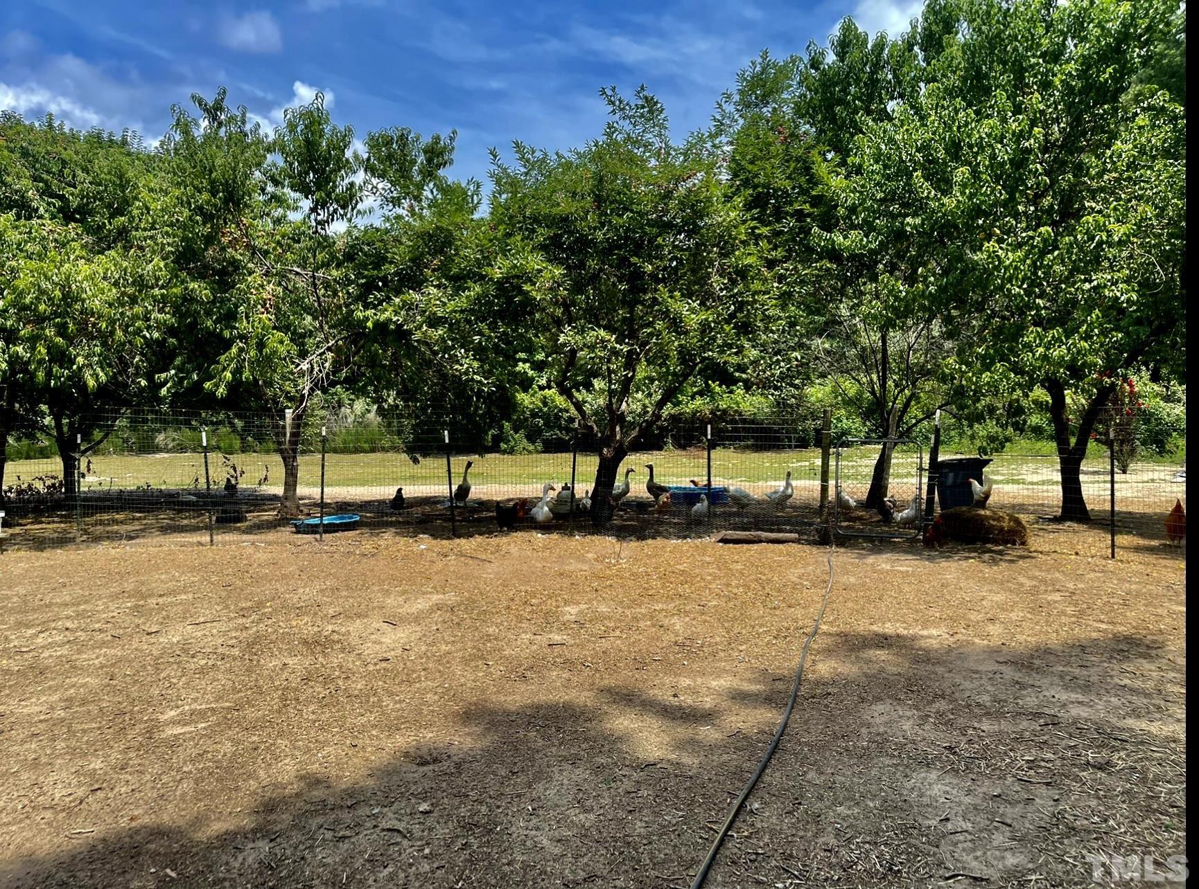 308 Parham Road Henderson, NC 27536 - Photo 22 of 27 a view of a house with a yard and tree s