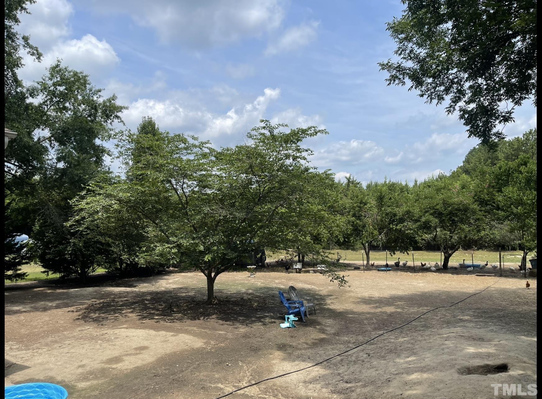 308 Parham Road Henderson, NC 27536 - Photo 23 of 27 a view of outdoor space with trees