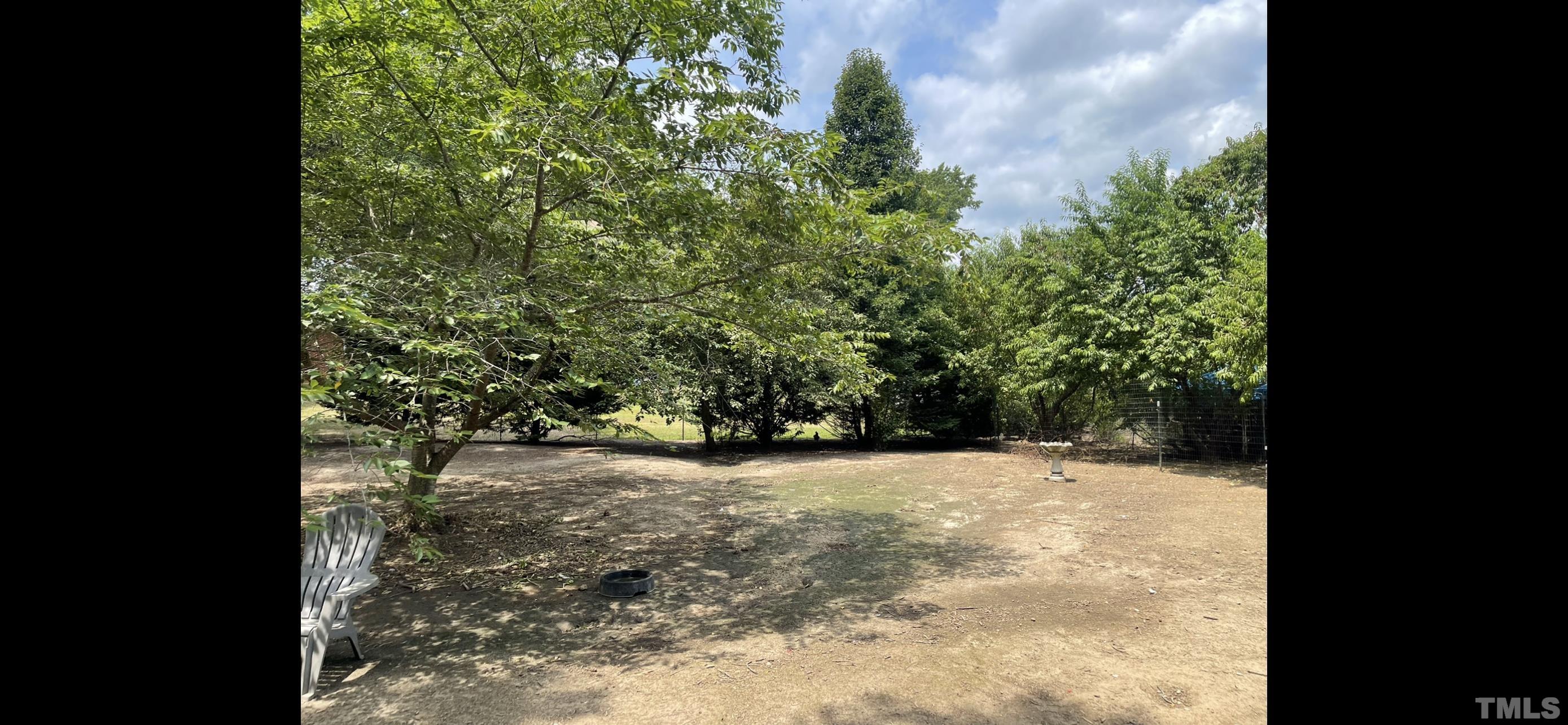 308 Parham Road Henderson, NC 27536 - Photo 26 of 27 a view of a yard with plants and a trees