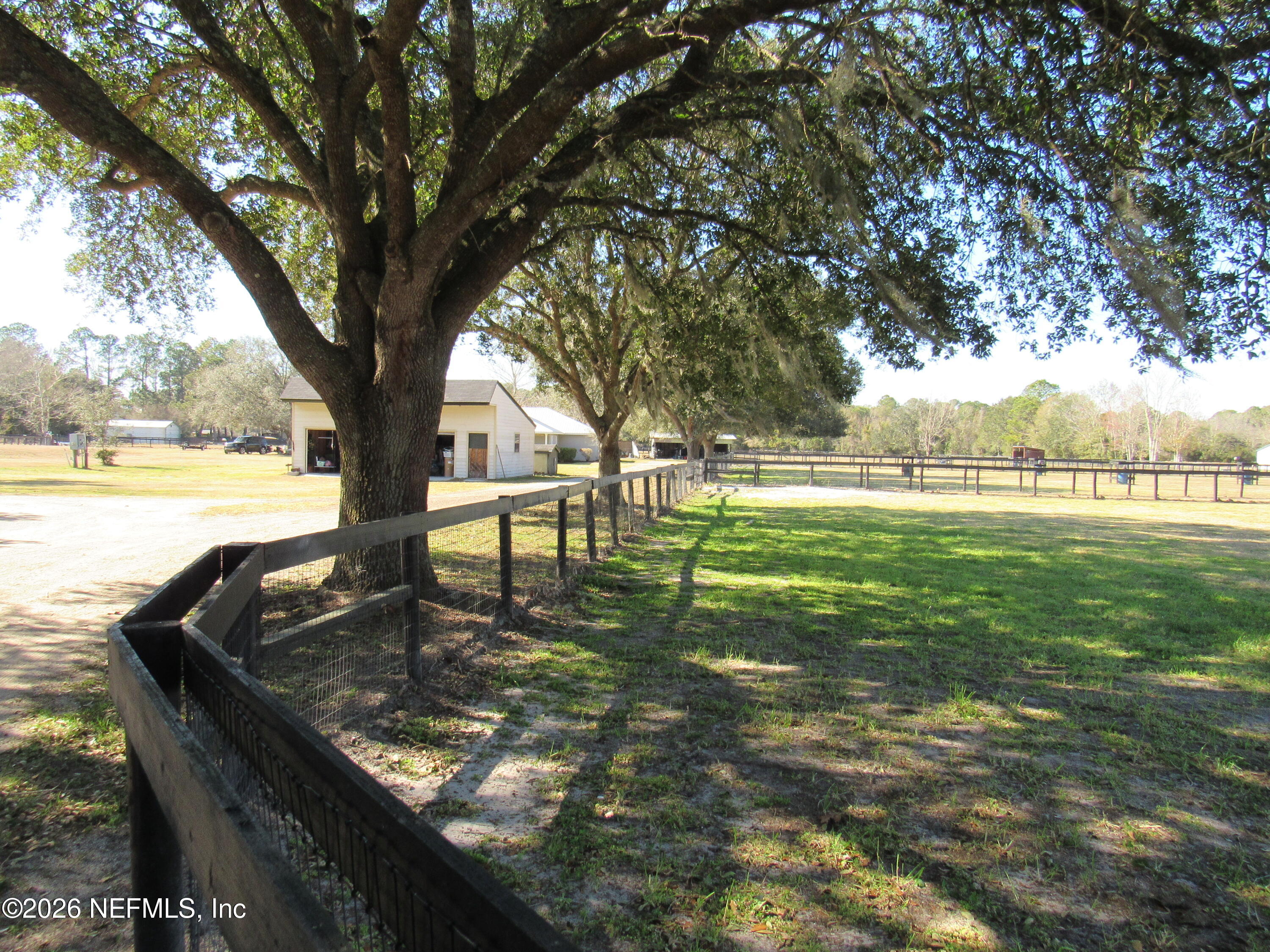 a view of a yard with a tree