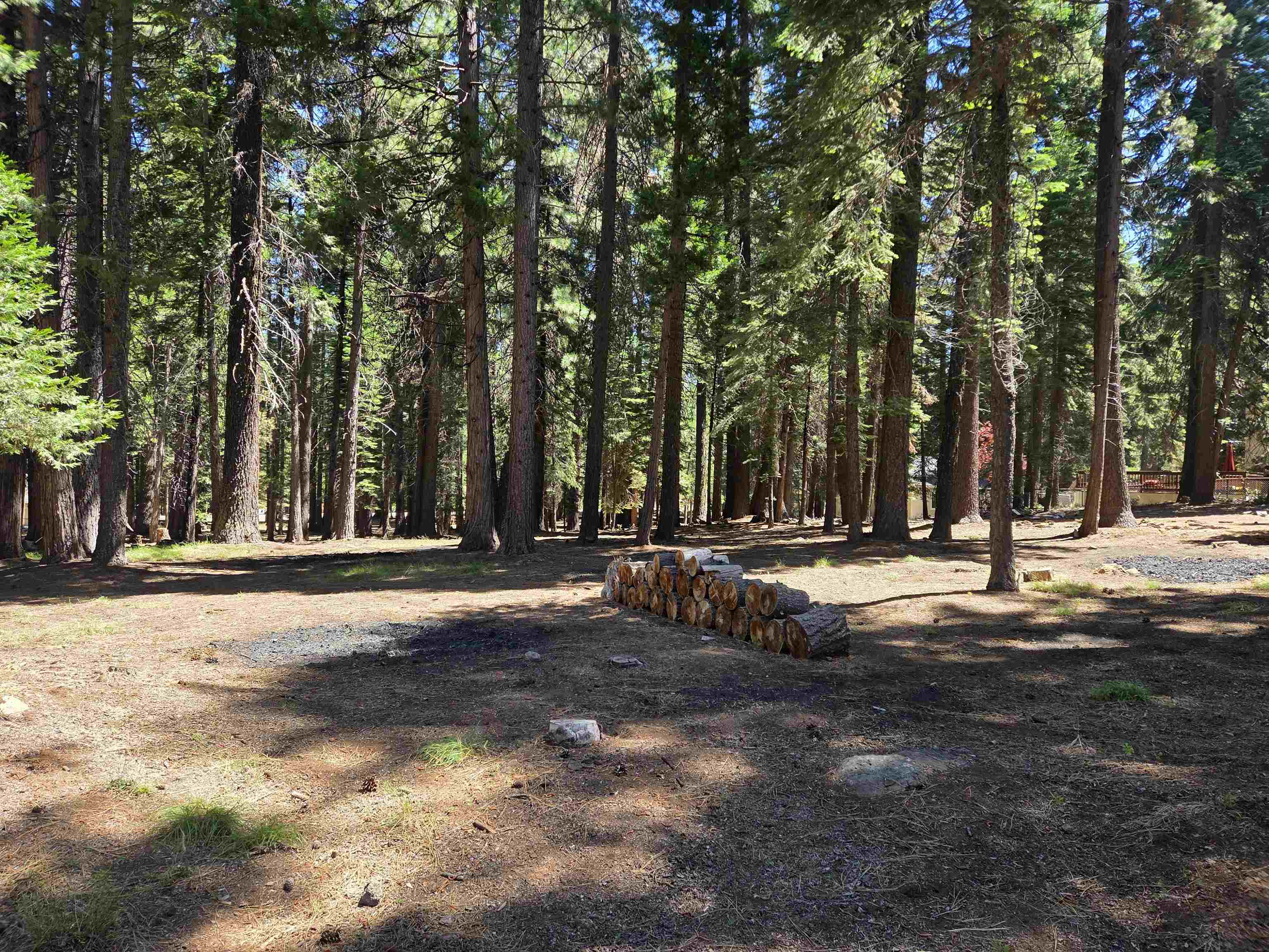 307 Racoon Trail Lake Almanor West, CA 96020 - Photo 2 of 4