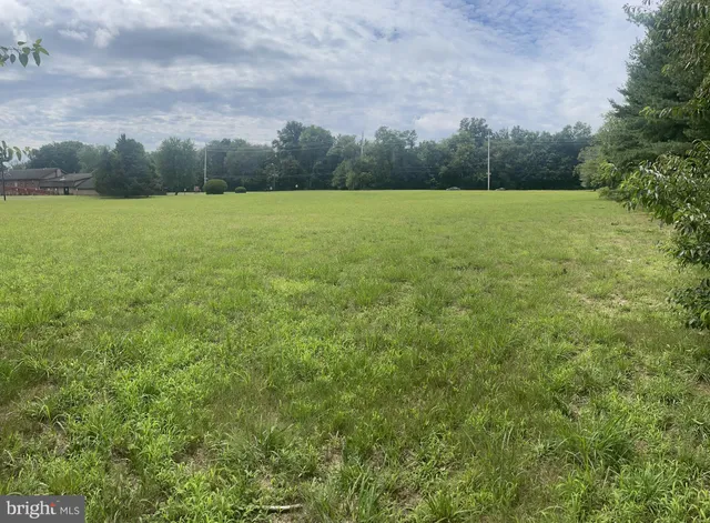 a view of a field with large trees