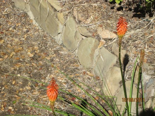 4878 Leonard Road, Unit SP6 Mariposa, CA 95338 - Photo 11 of 30 Gallery Image 11