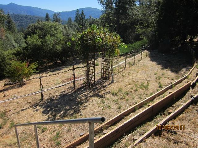 4878 Leonard Road, Unit SP6 Mariposa, CA 95338 - Photo 5 of 30 Gallery Image 5