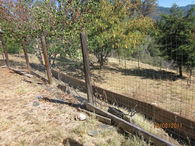 4878 Leonard Road, Unit SP6 Mariposa, CA 95338 - Photo 8 of 30 Gallery Image 8