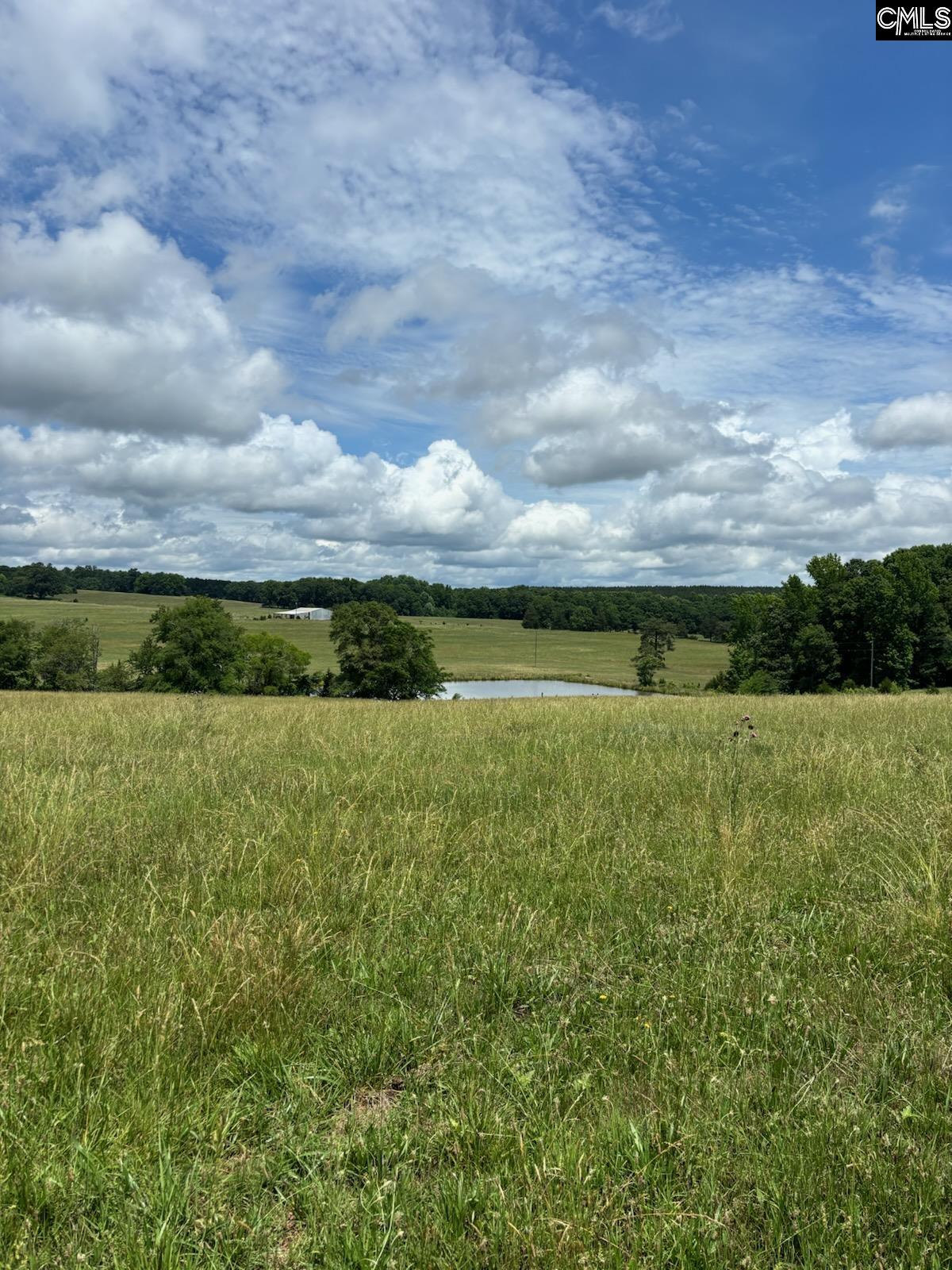 542 Pea Ridge Highway Jonesville, SC 29353 - Photo 54 of 72