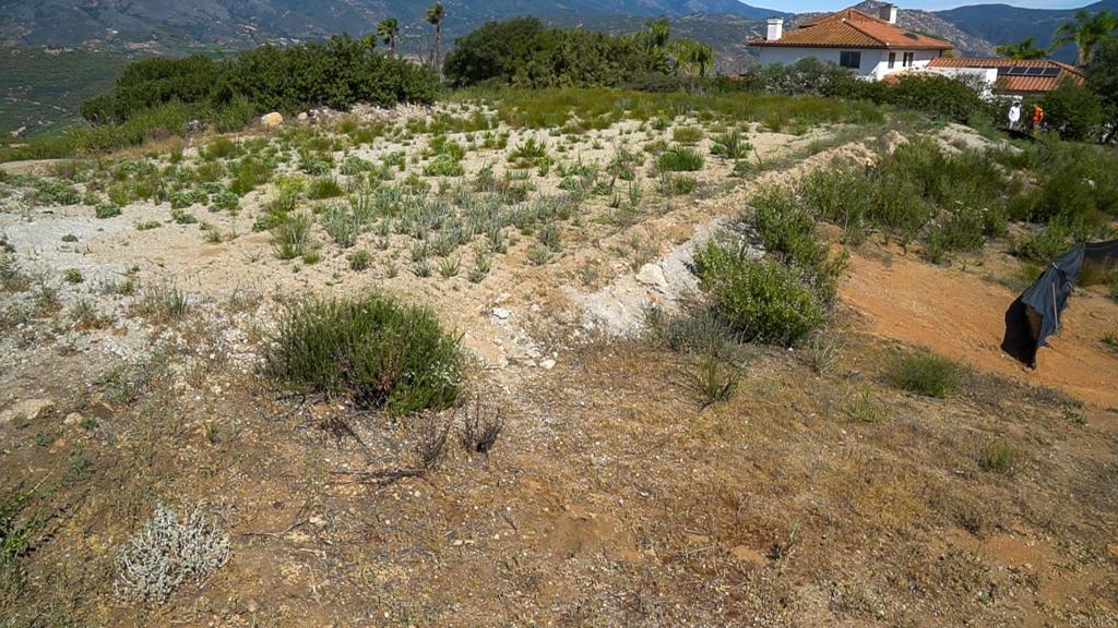 4 Rim Of The Valley Valley Center, CA 92082 - Photo 12 of 12 a view of a yard with a tree